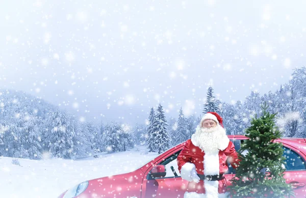 Papai Noel com árvore de Natal perto de carro na floresta durante a queda de neve — Fotografia de Stock
