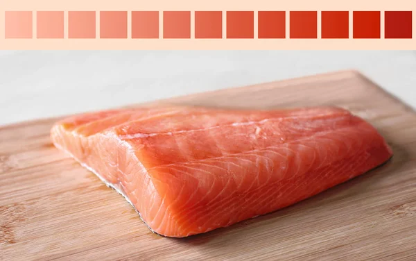 Salmon color lineal and fish fillet