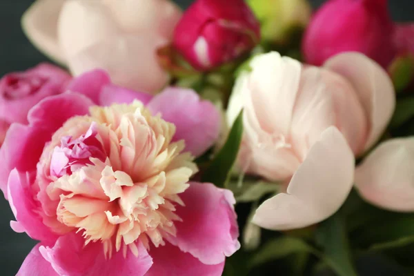 Bellissimi fiori di peonia — Foto Stock