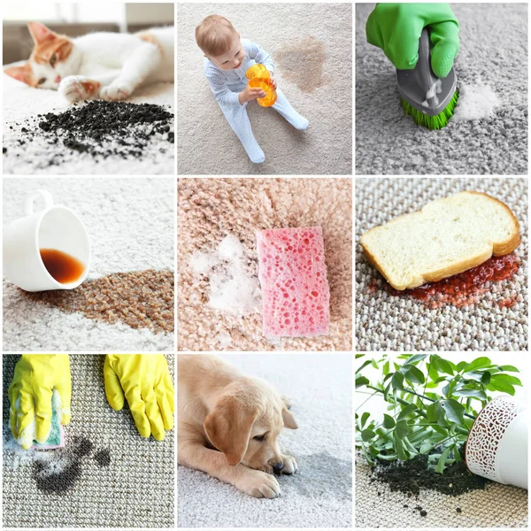 Different Types Dirt Carpet Cleaning Concept — Stock Photo, Image