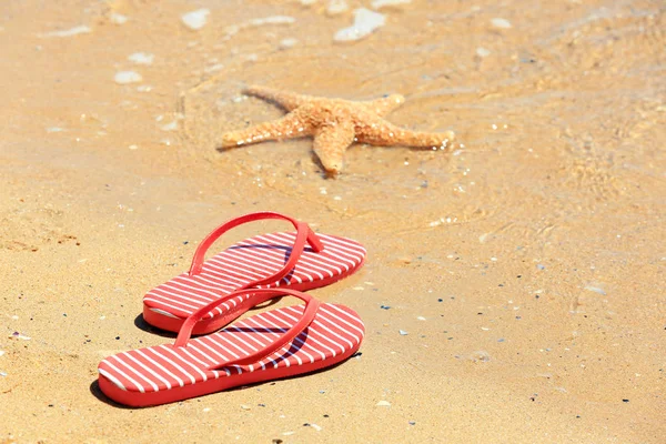 Colorful flip-flops and starfish — Stock Photo, Image