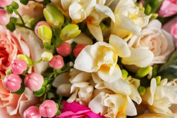 Bela variedade de flores frescas, close-up — Fotografia de Stock