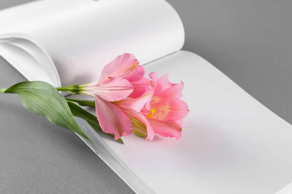 Open boek met lege pagina's en mooie bloemen op grijze achtergrond — Stockfoto