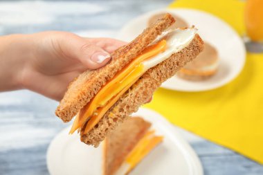 Kolay yumurta ve peynir mutfakta sandviç ile tutan kadın