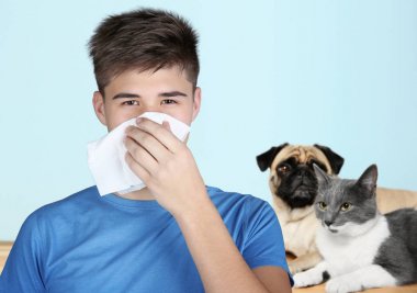 Young ill man with tissue and animals on background, Concept of allergy clipart