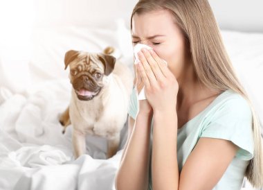 Doku ve evde beslenen hayvan arka plan, köpek alerjisi kavramı üzerinde olan hasta kadın