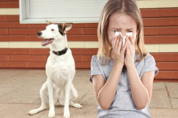 Little girl with tissue and pet on background, Concept of allergies to dogs