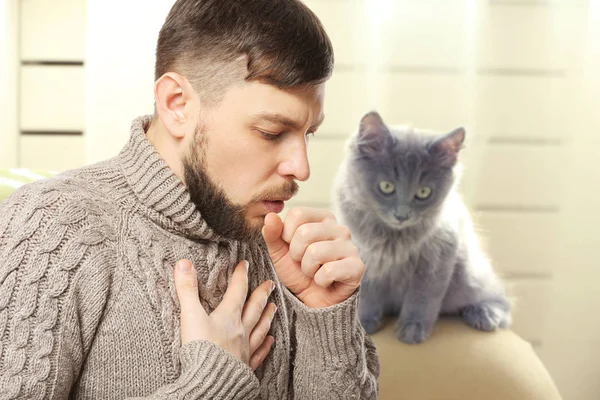 Concepto de alergias a gatos — Foto de Stock