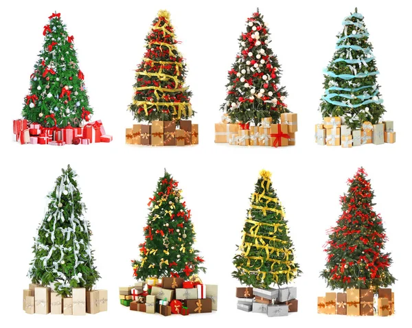 Koláž z krásných vánočních stromků — Stock fotografie