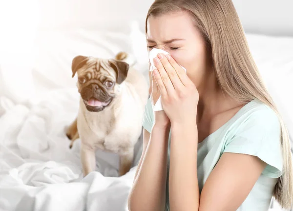 Młoda Kobieta Chory Tkanek Zwierzętom Tle Pojęcie Alergii Psy — Zdjęcie stockowe