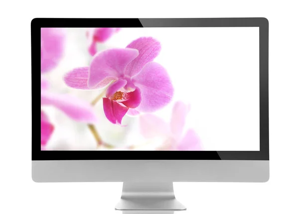 Modern datorskärm med vacker blomma — Stockfoto