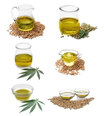Kenevir tohum ve yağ kolaj 