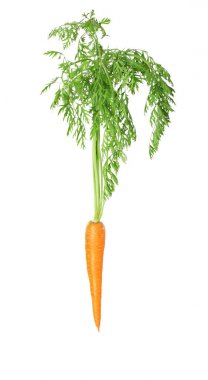 Yeşil yapraklı taze havuç. 