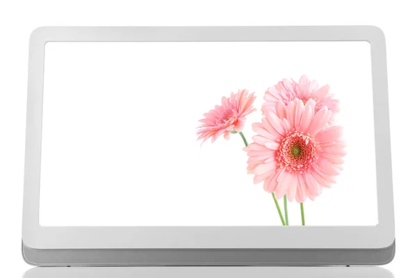 Pantalla de computadora con hermosas flores en la pantalla — Foto de Stock