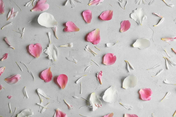 güzel Şakayık çiçekleri