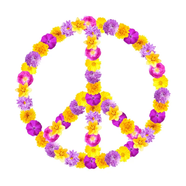 Symbol míru krásných květin — Stock fotografie