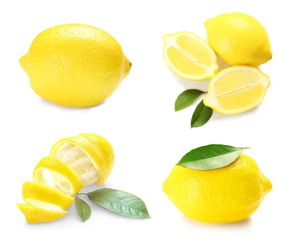 Collage af frisk citron - Stock-foto