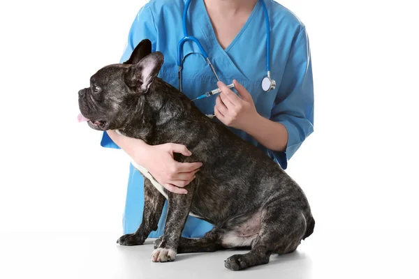 Veterinarian vaccinating dog — Stock Photo, Image