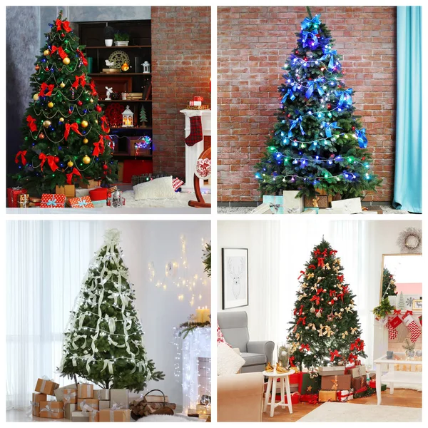 Collage di bellissimi alberi di Natale — Foto Stock