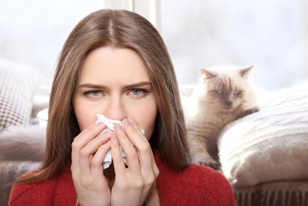 Concepto de alergias a gatos — Foto de Stock