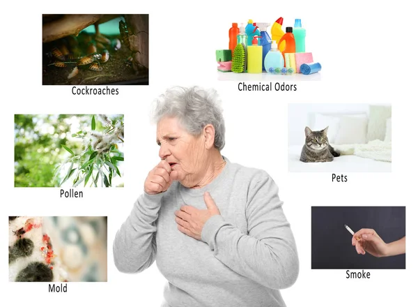 Seniorin Mit Allergie Und Ursachen Auf Weißem Hintergrund Gesundheitskonzept — Stockfoto