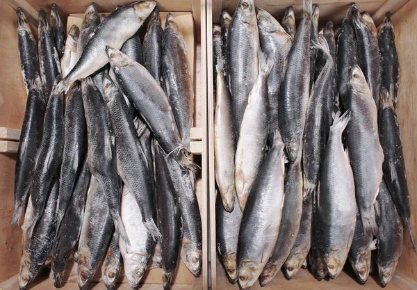 Frozen fish in supermarket — Stock Photo, Image