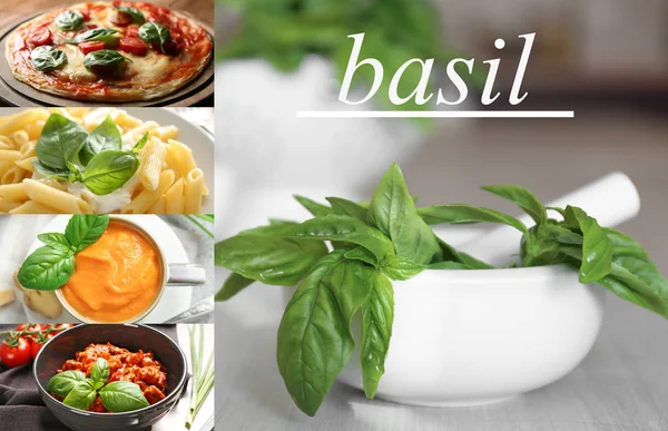 Different dishes with basil leaves — Stock Photo, Image