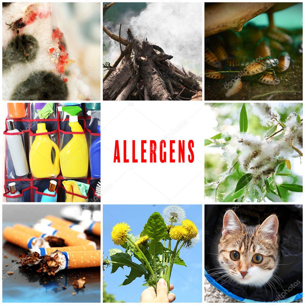 Collage with causes of allergy. 