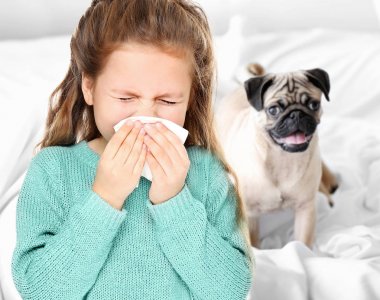 Doku ve evde beslenen hayvan arka plan, köpek alerjisi kavramı üzerinde küçük kızla