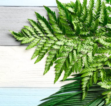 Tropikal yakın bırakır