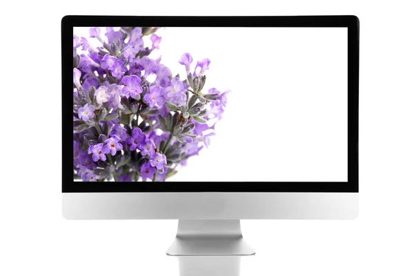 Pantalla de computadora con hermosas flores en la pantalla — Foto de Stock