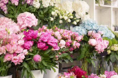 Güzel peonies ve diğer çiçekler 