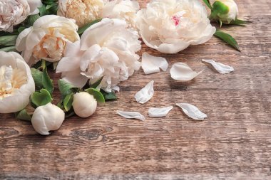 güzel Şakayık çiçekleri  