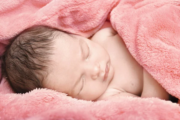 Szép baby ikrek — Stock Fotó