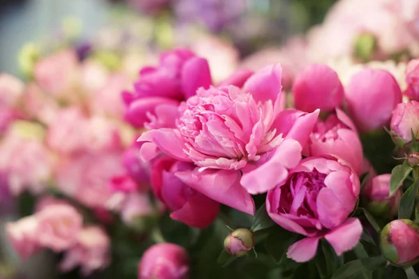 Dükkanda güzel peonies