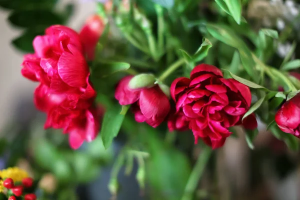 Dükkanda güzel peonies