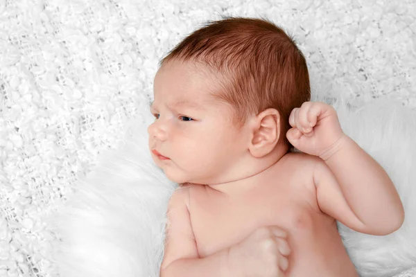 Mooie baby tweeling — Stockfoto