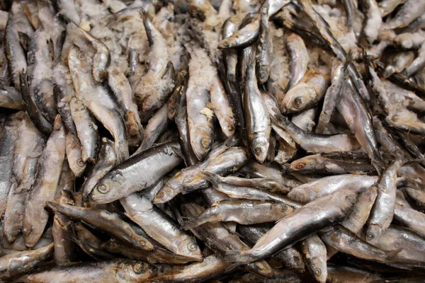 Frozen fish in supermarket — Stock Photo, Image