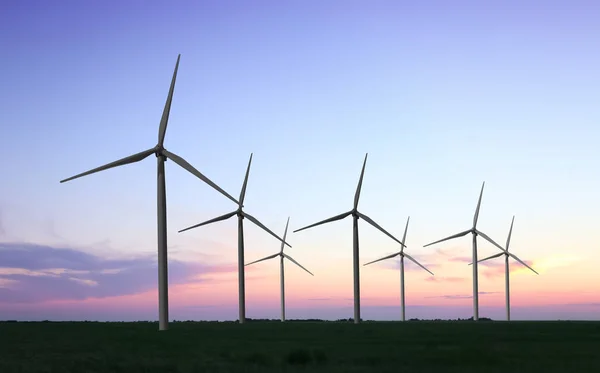 Wind turbines in field — Stock Photo, Image