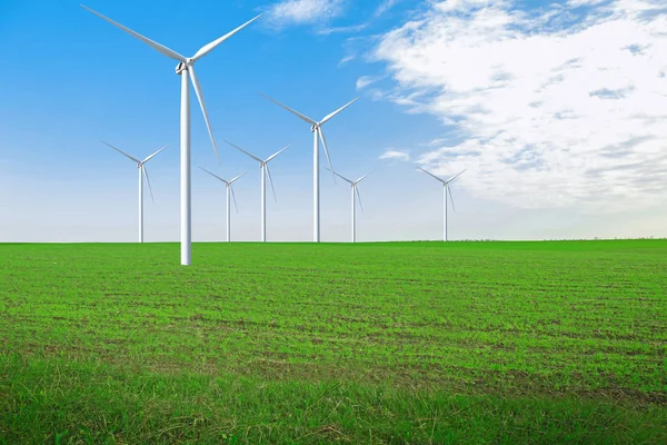 Wind turbines in field — Stock Photo, Image