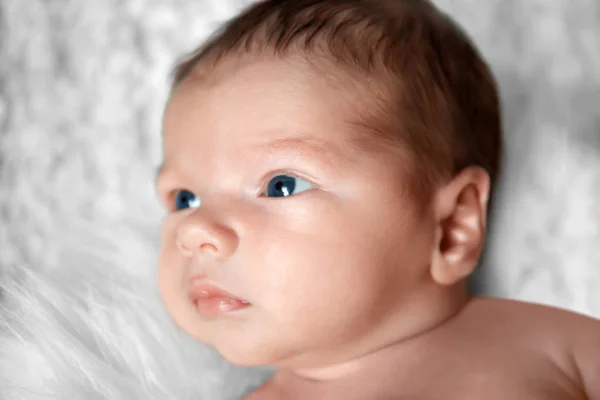 美しい赤ちゃん双子 — ストック写真