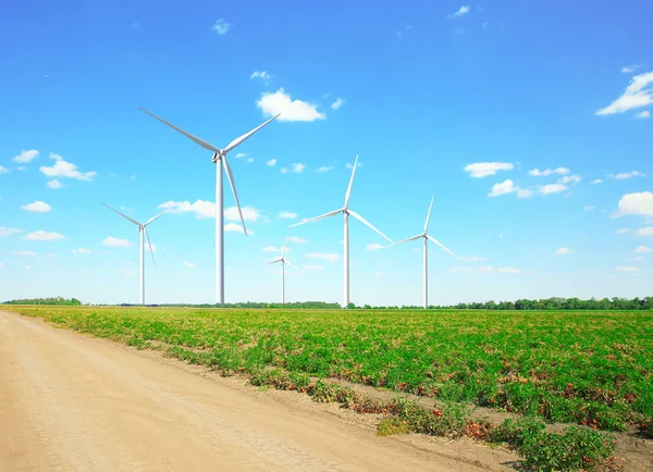 Wind turbines in field — Stock Photo, Image