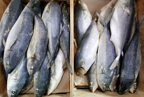 सुपरमार्केटमध्ये फ्रोजन मासे — स्टॉक फोटो, इमेज