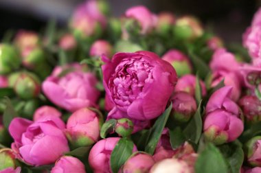 Dükkanda güzel peonies