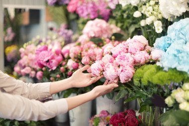 güzel peonies dokunmadan kadın 