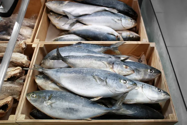 Frozen fish in supermarket