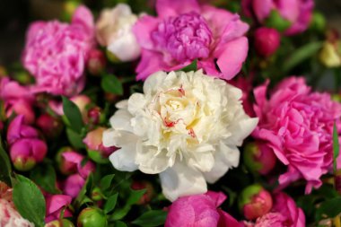 Dükkanda güzel peonies