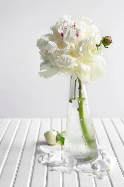 Vaso con bel fiore di peonia — Foto Stock