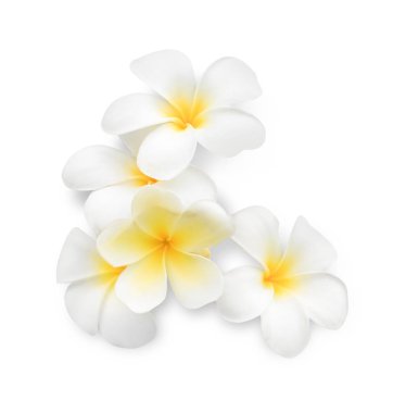 egzotik tropik çiçekler