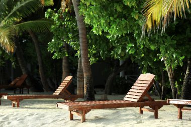 Tropik sahilde şezlong